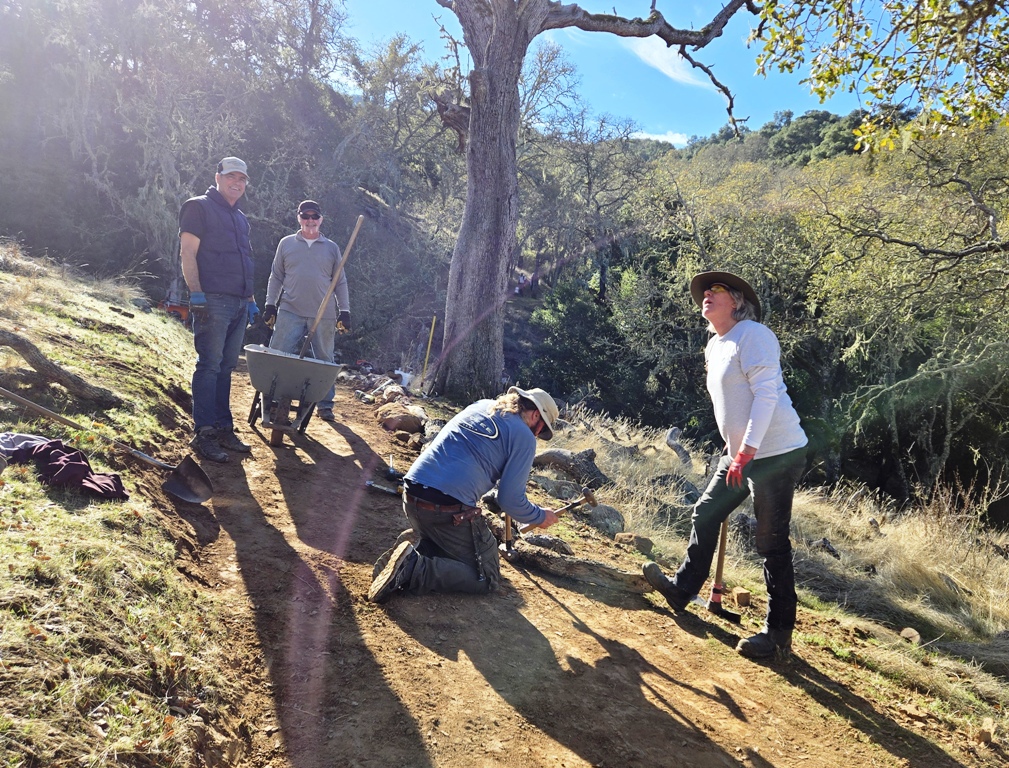 Installing logs along the downhill edge of the trail.